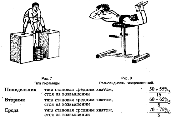 p8.gif (10357 bytes)